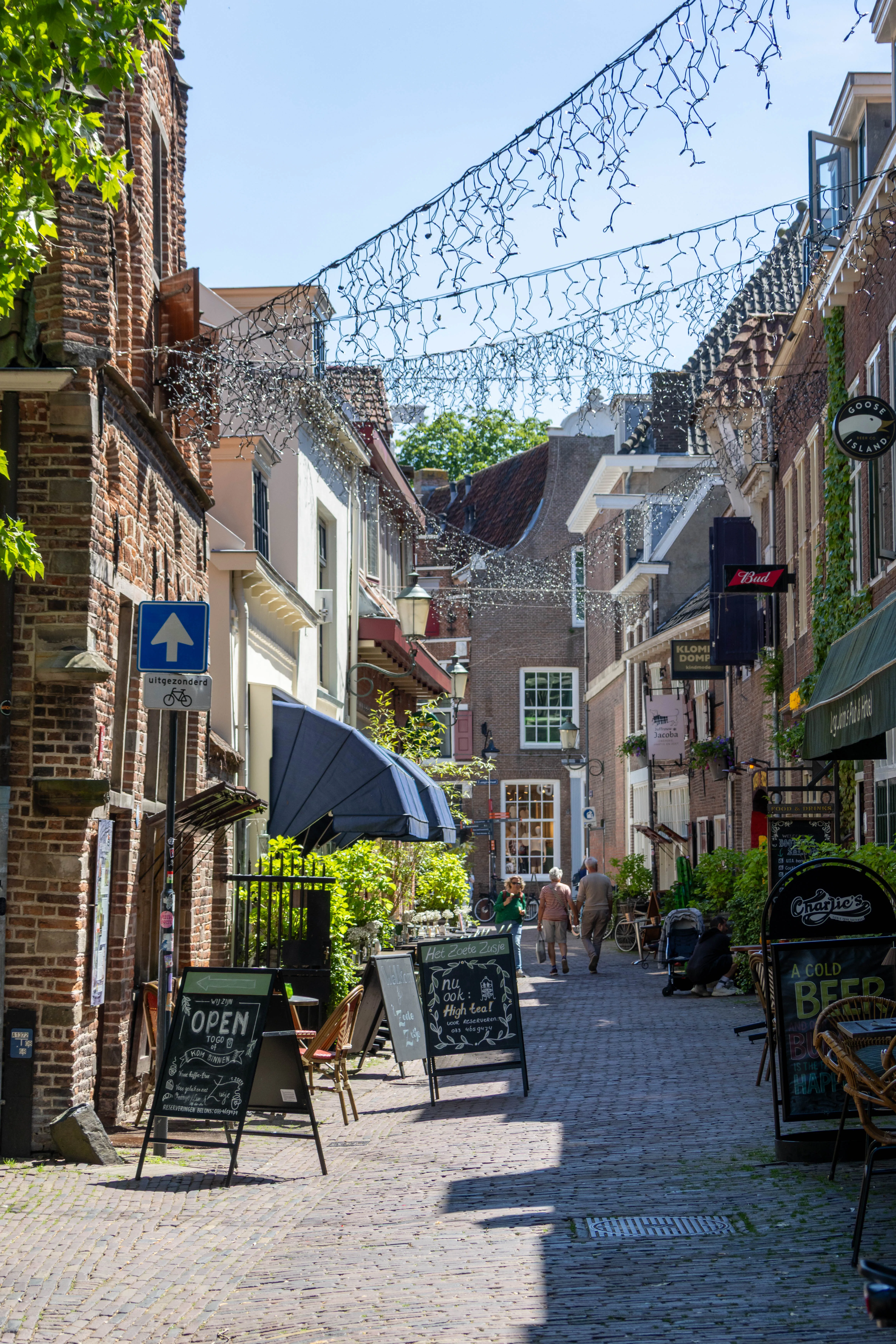 Groene gracht met oude gevels